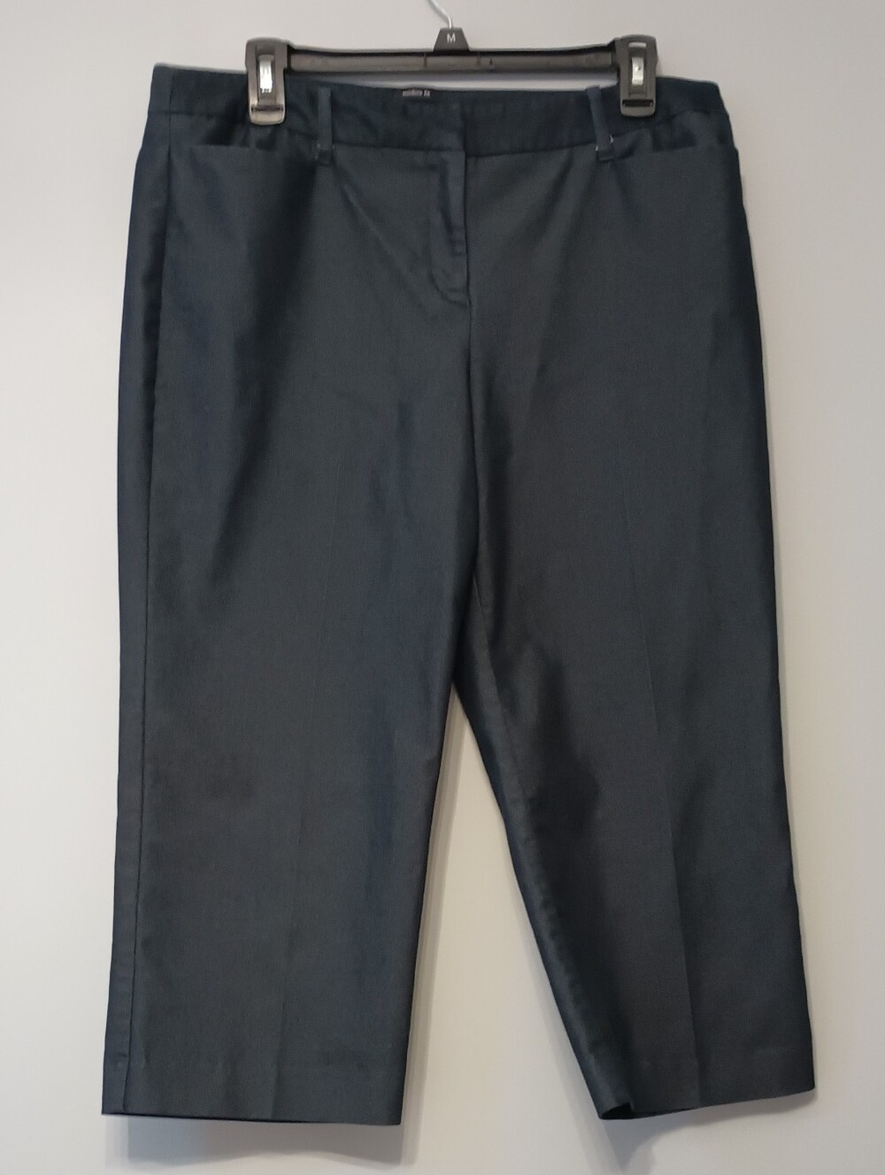 Attention Dressy Capris Modern‎ Fit 10